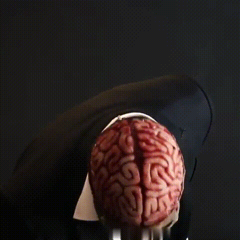 Masque de squelette réaliste avec cerveau pour Halloween adulte