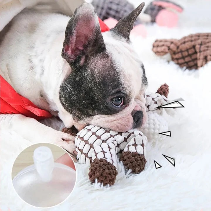 Peluche robuste ultra-résistante pour chien
