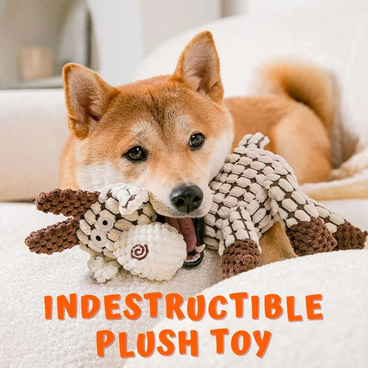 Peluche robuste ultra-résistante pour chien