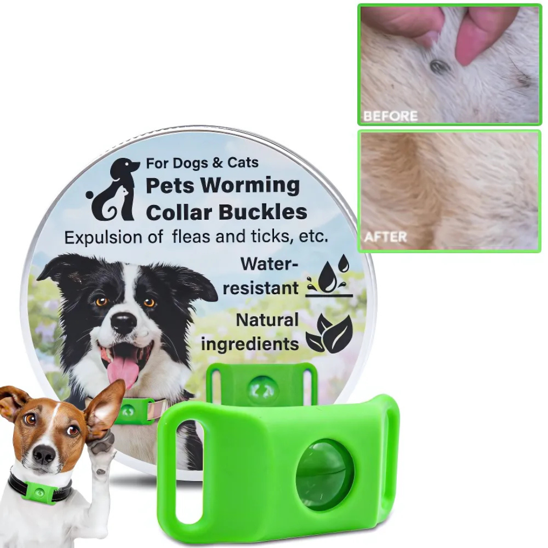 Pendentif anti-puces et tiques pour animaux, huiles essentielles naturelles, étanche, protection 12 mois