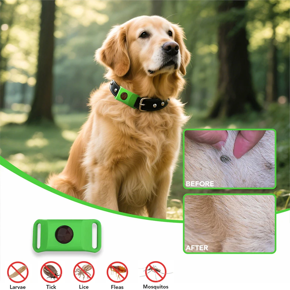 Pendentif anti-puces et tiques pour animaux, huiles essentielles naturelles, étanche, protection 12 mois