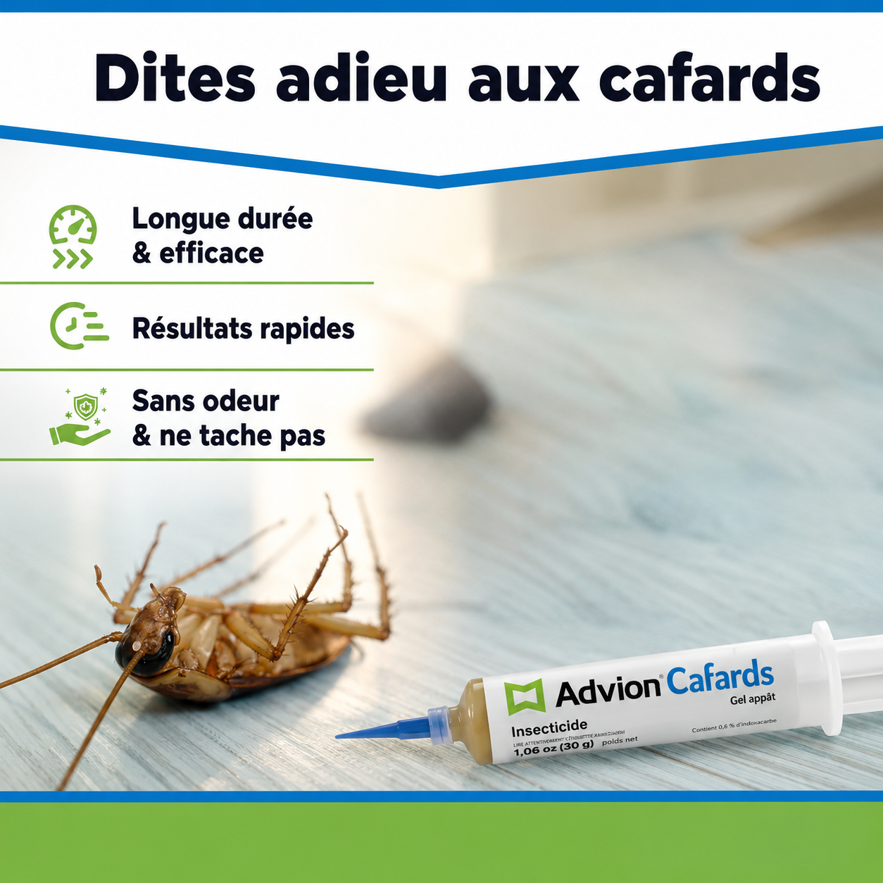 Seringue de gel pour le contrôle des cafards en intérieur