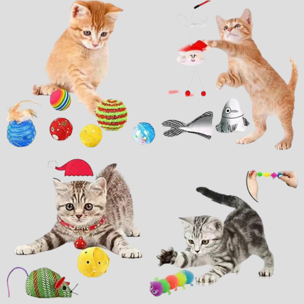 Calendrier de l'Avent pour chats 24 jours de jouets interactifs