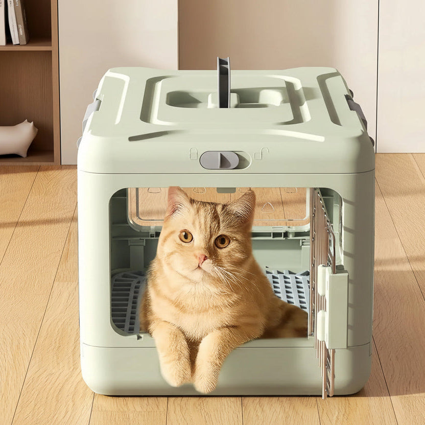 VistaVault Plateau de voyage pliant – Banc panoramique pour chat et chien