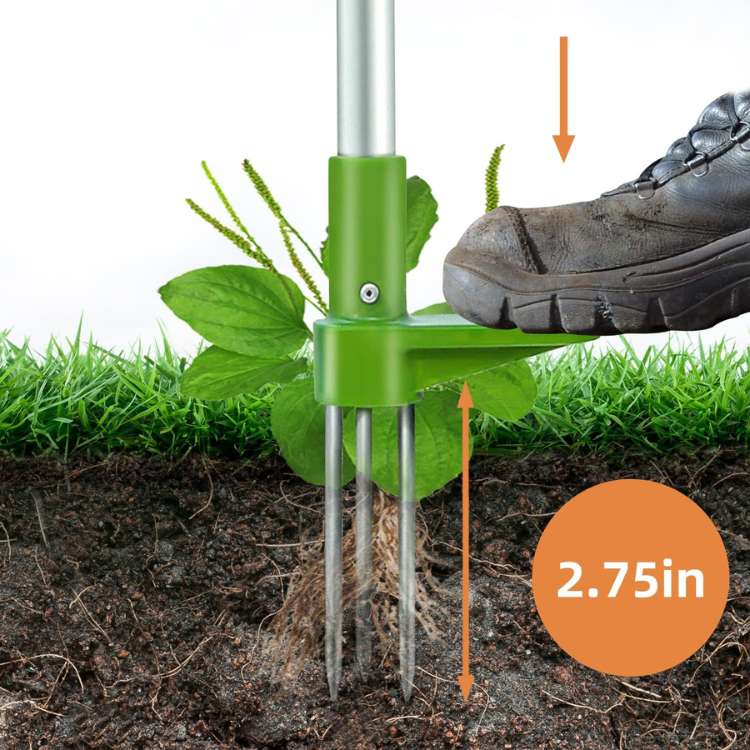 Désherbeur ergonomique à griffe pour l'extraction des racines