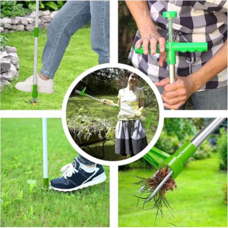 Désherbeur ergonomique à griffe pour l'extraction des racines