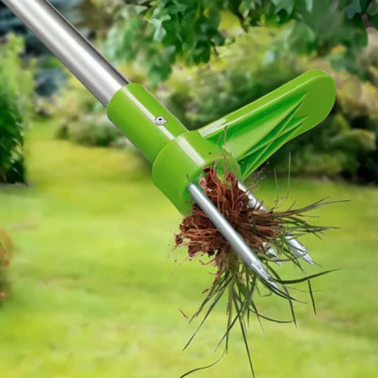 Désherbeur ergonomique à griffe pour l'extraction des racines