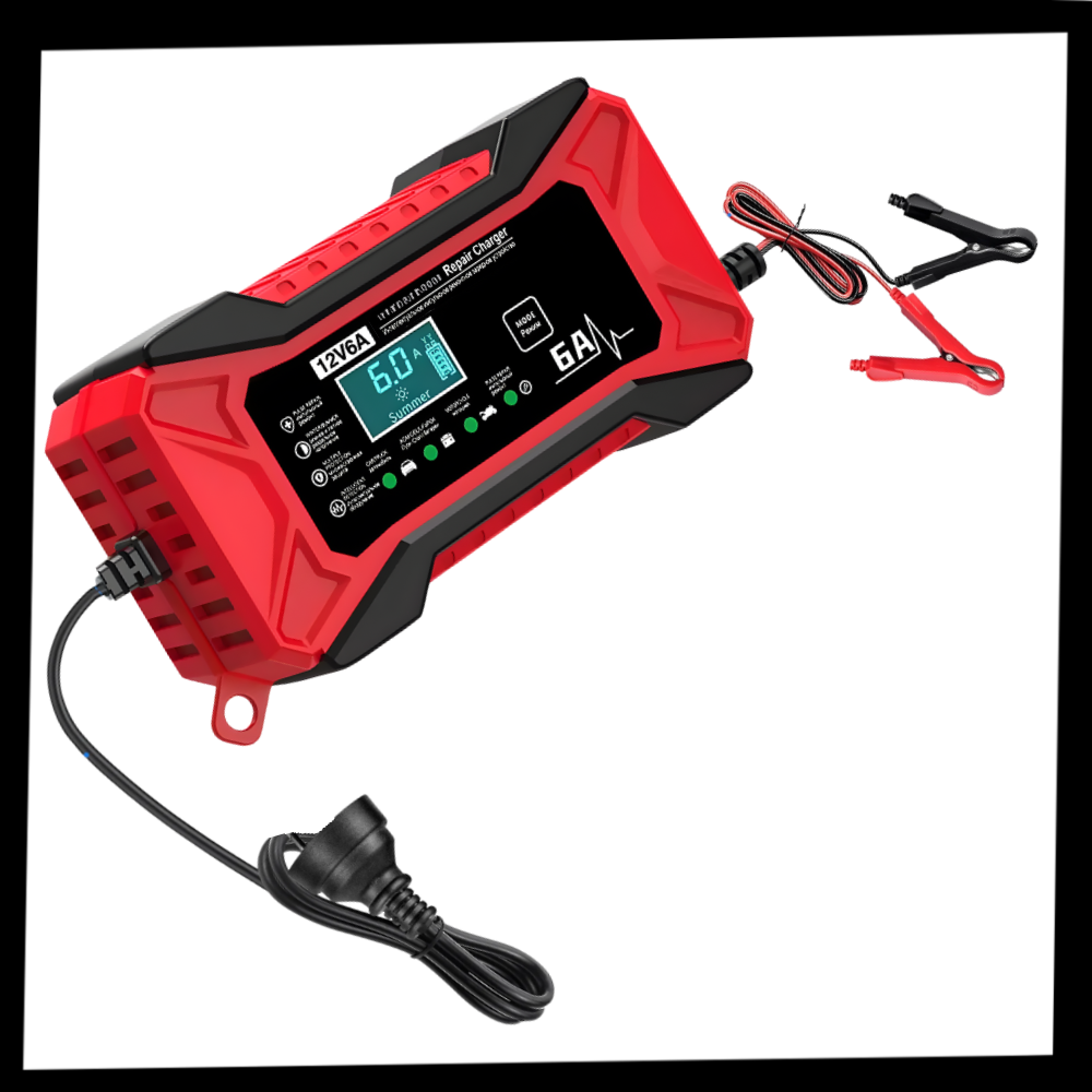 Chargeur de batterie intelligent 12 V pour véhicules