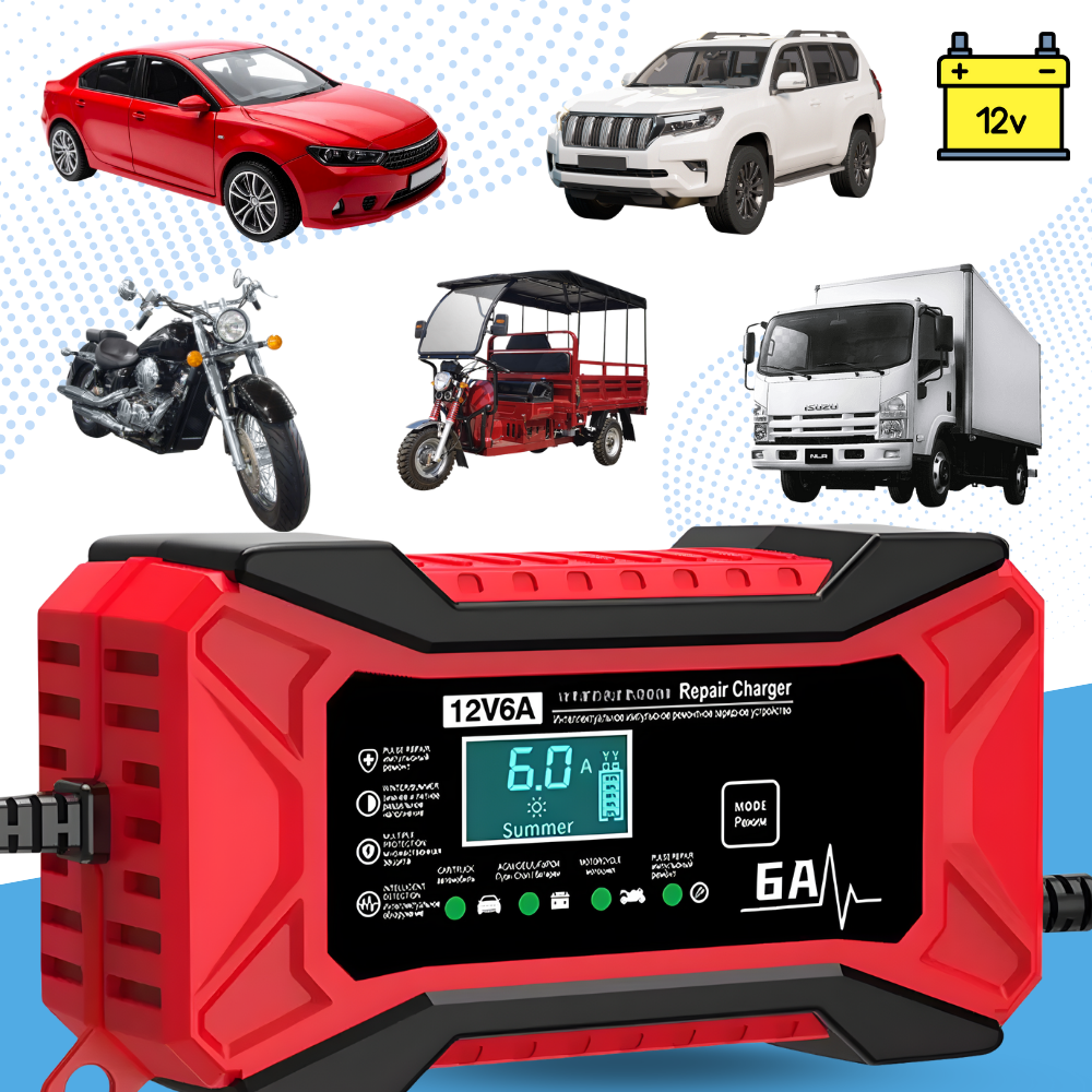Chargeur de batterie intelligent 12 V pour véhicules
