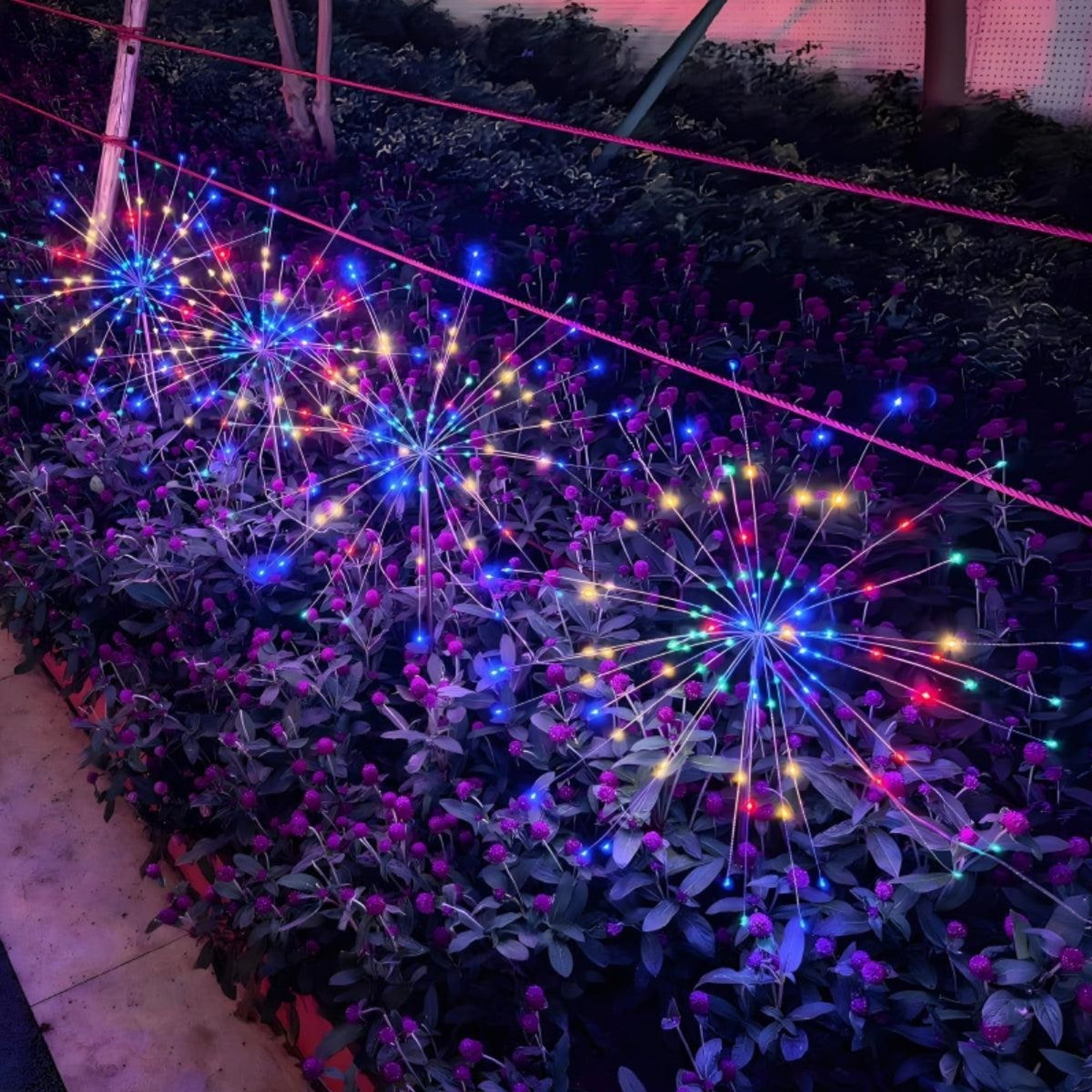 Lumières féeriques solaires de jardin, pour piquet de feu d'artifice de cour en plein air, crée une ambiance enchanteresse avec éclairage