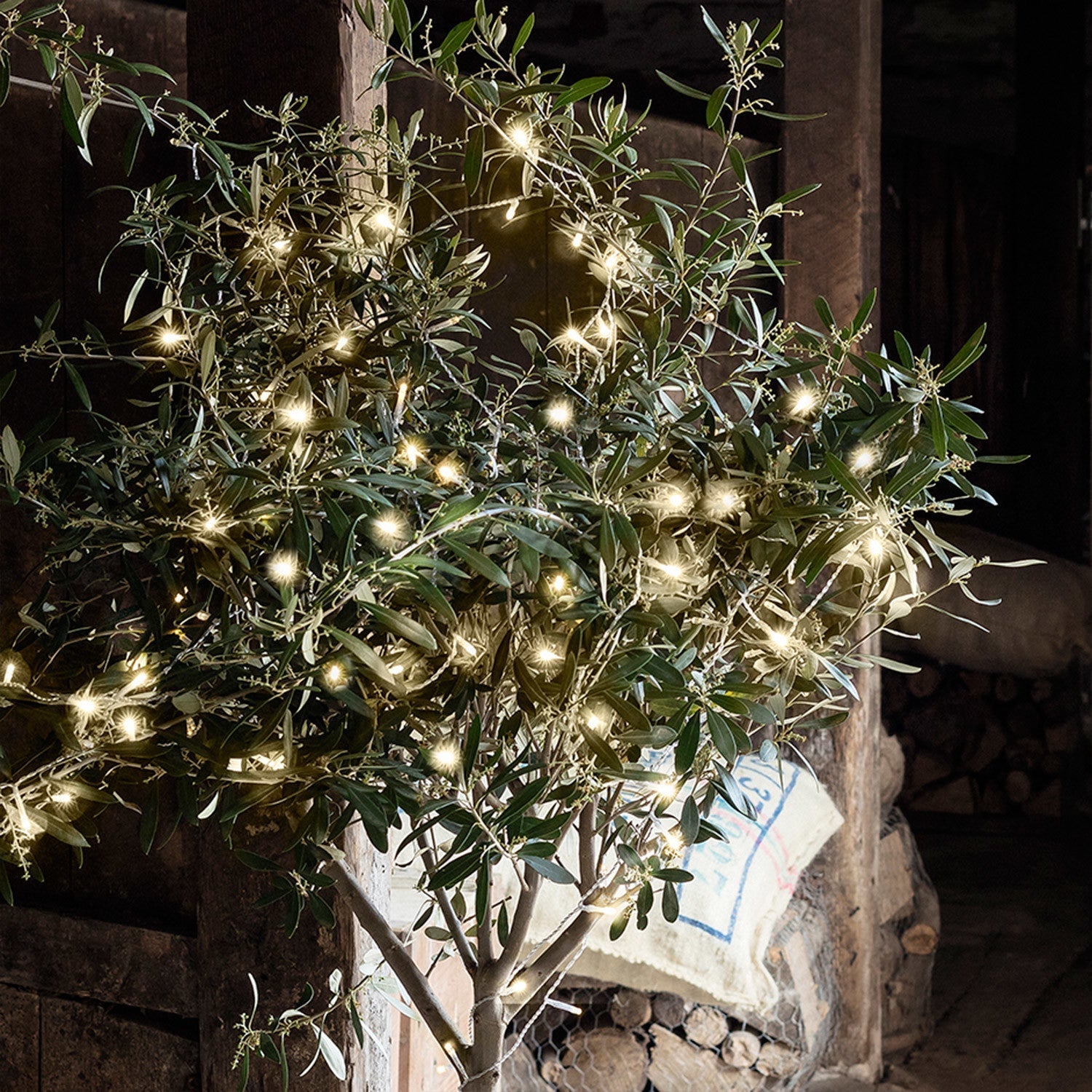 Décorations de Noël Guirlandes lumineuses blanc chaud